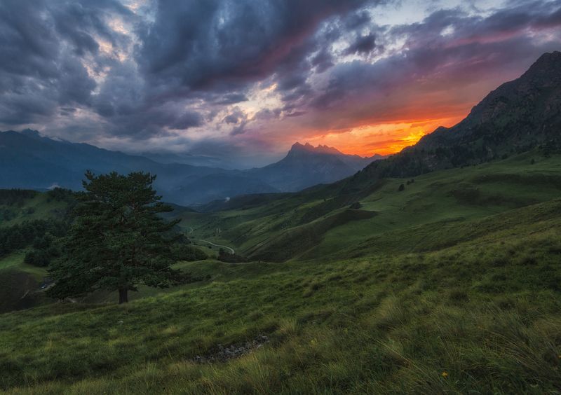 ингушетия, эрзи, кавказ Ингушетия. Летние краски. фото превью