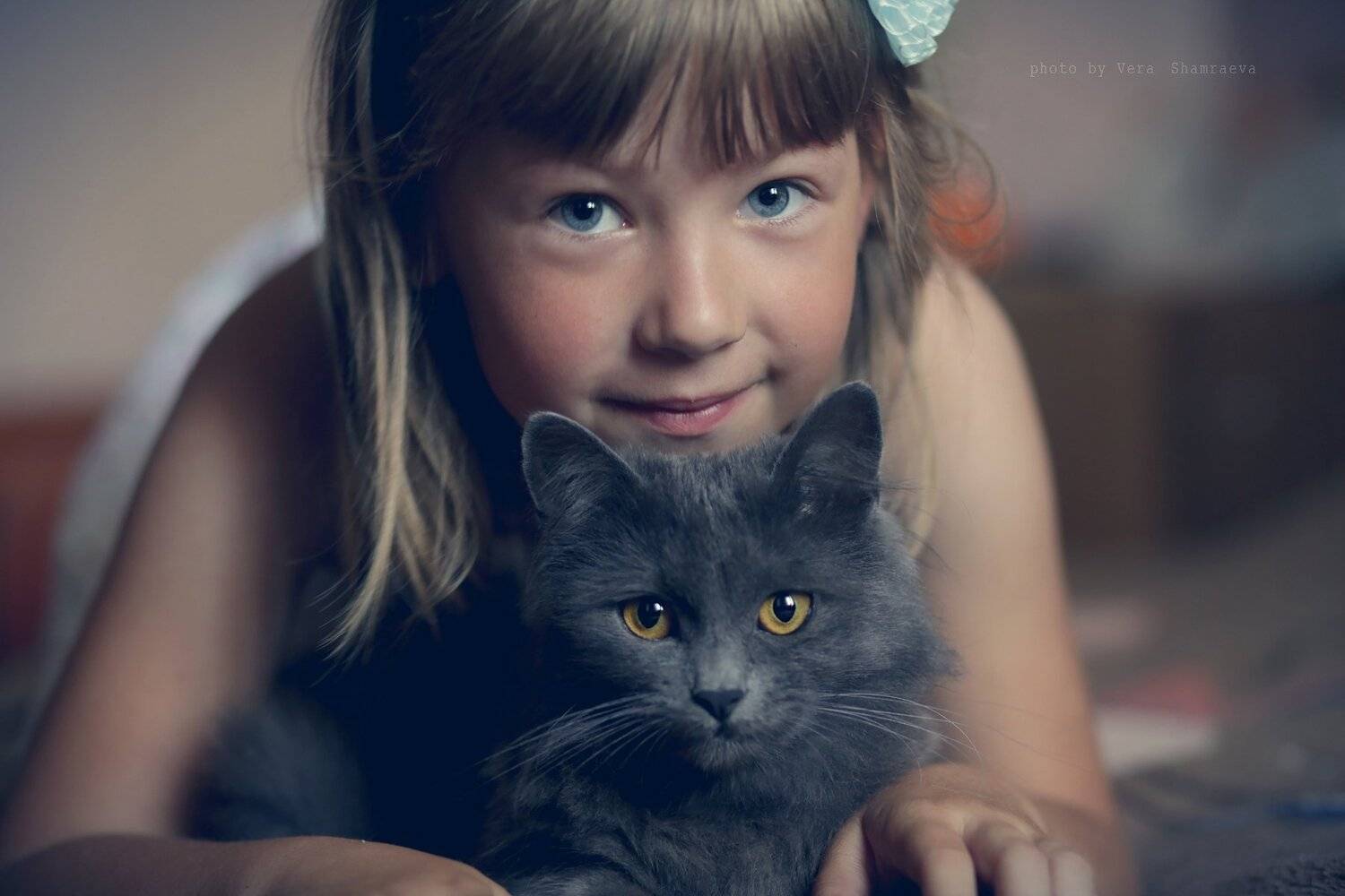 жанровый портрет, девочка, кошка, Вера Шамраева