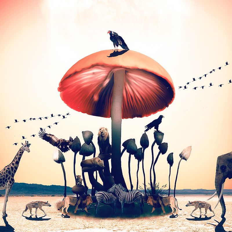 17.12.1991 фото превью