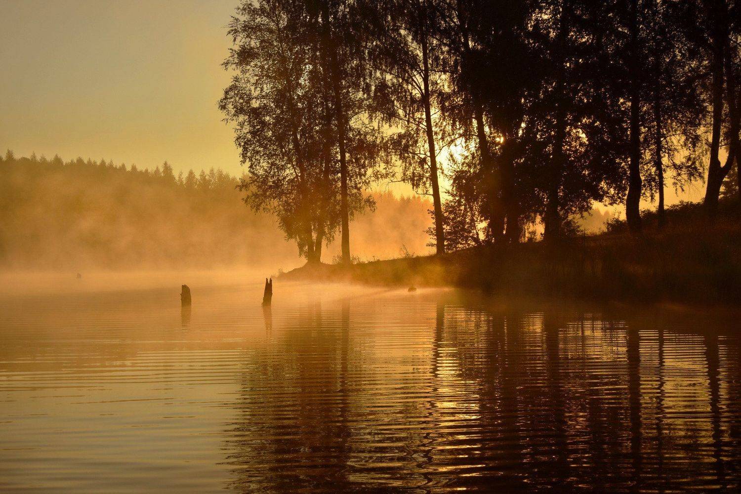 , Макеев Алексей