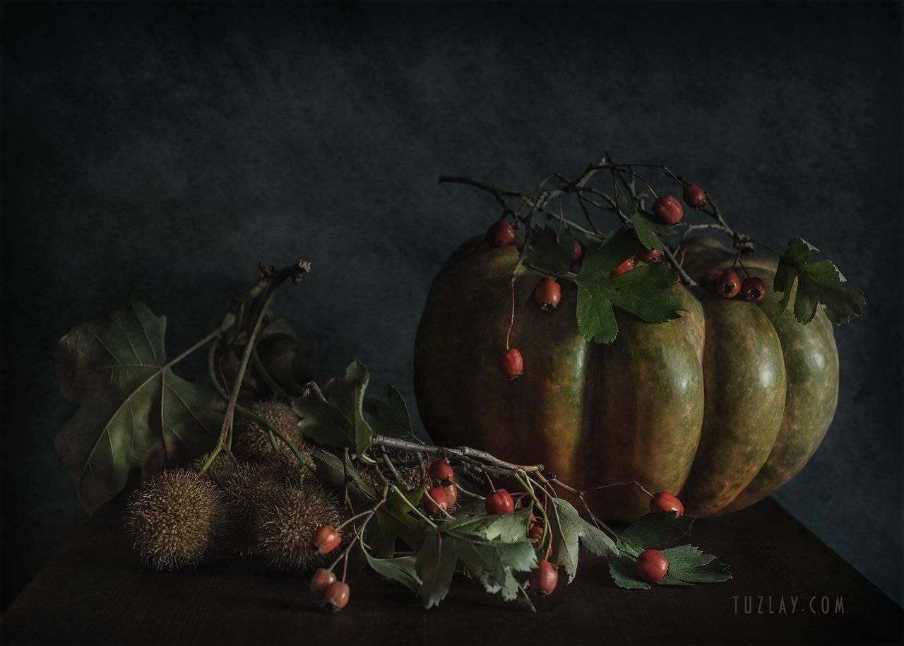 тыква, осень, боярышник, Владимир Тузлай