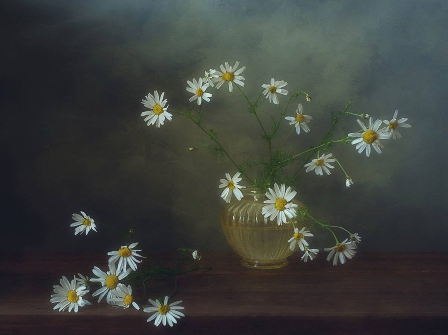 натюрморт,ромашки,осень, Наталия К