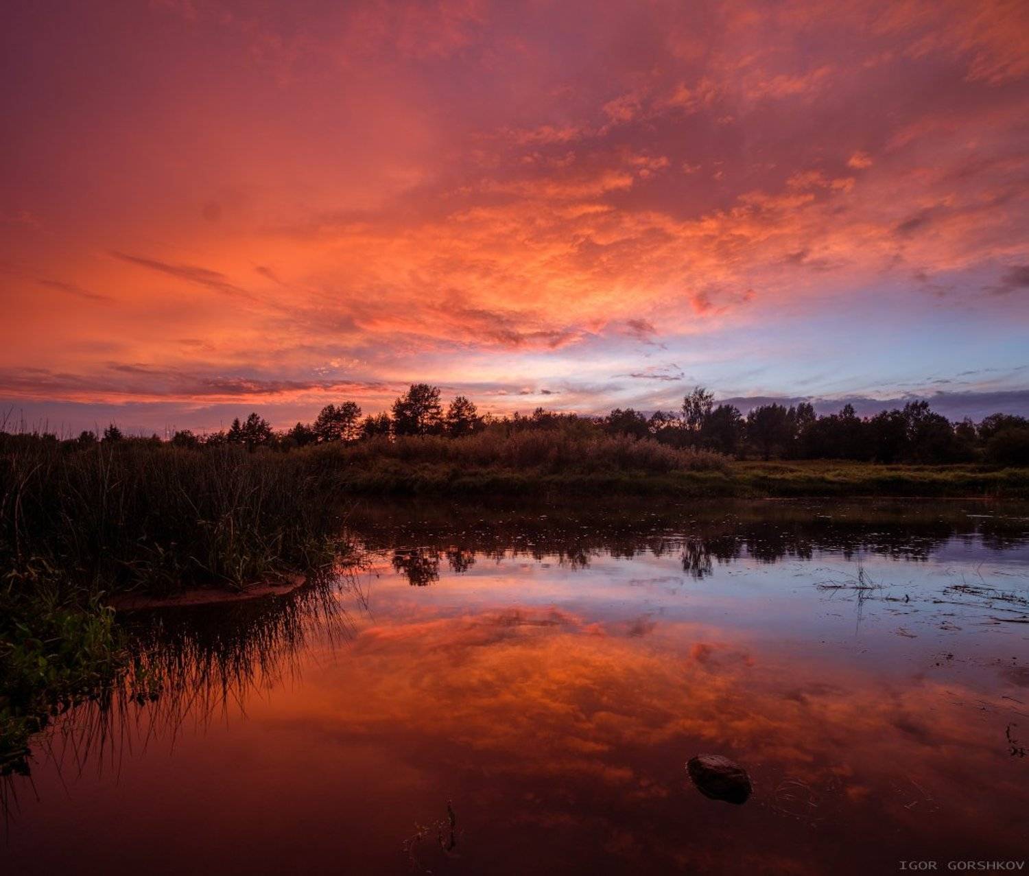 молога,река,закат,пейзаж,природа,небо,тучи,отражения,берег,трава,, Горшков Игорь