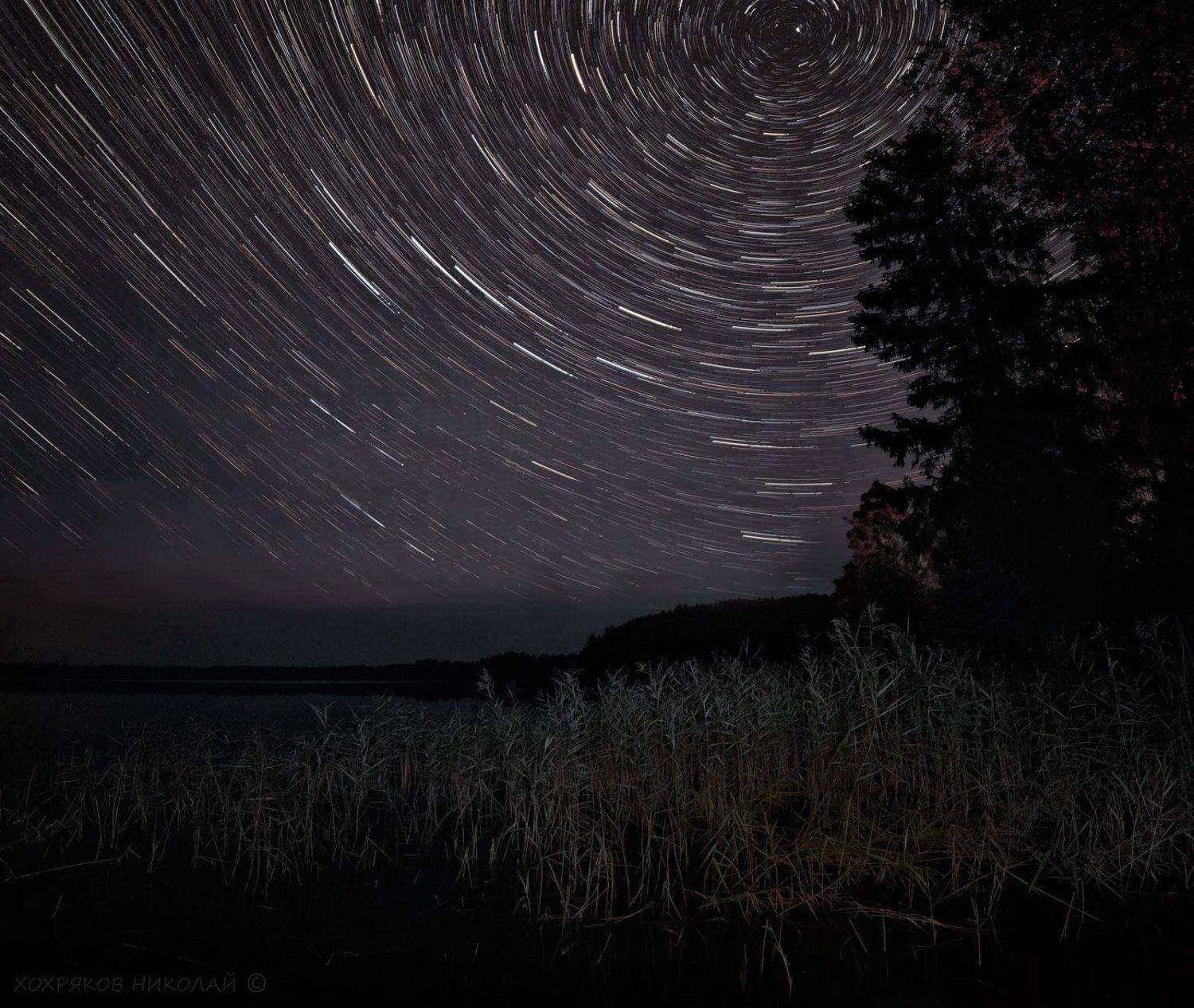 , Хохряков Николай