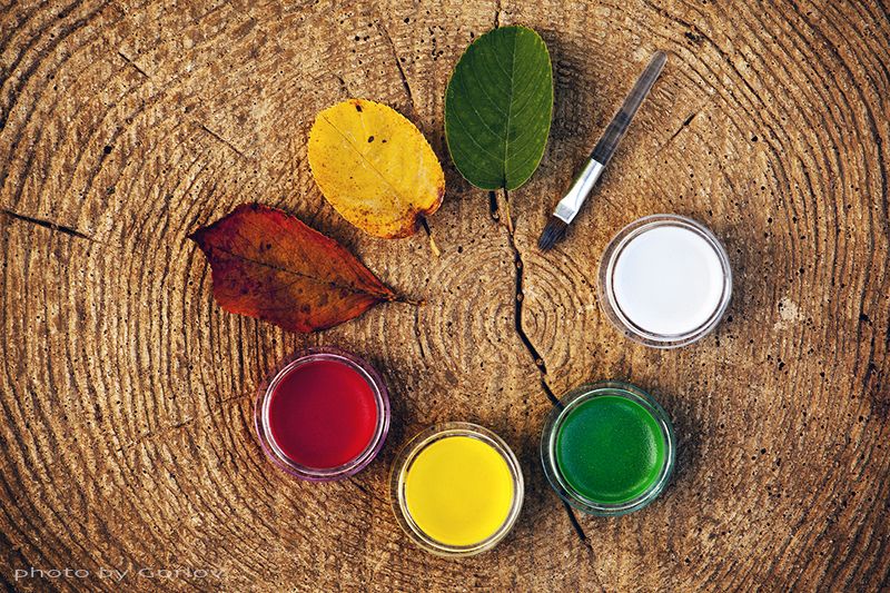 autumn, september, leafs, paint, draw, background, circle, wooden, tree, forest, , листья, осень, палитра * фото превью