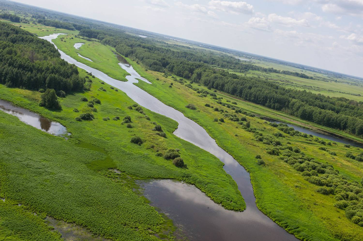 , Михаил Дронов