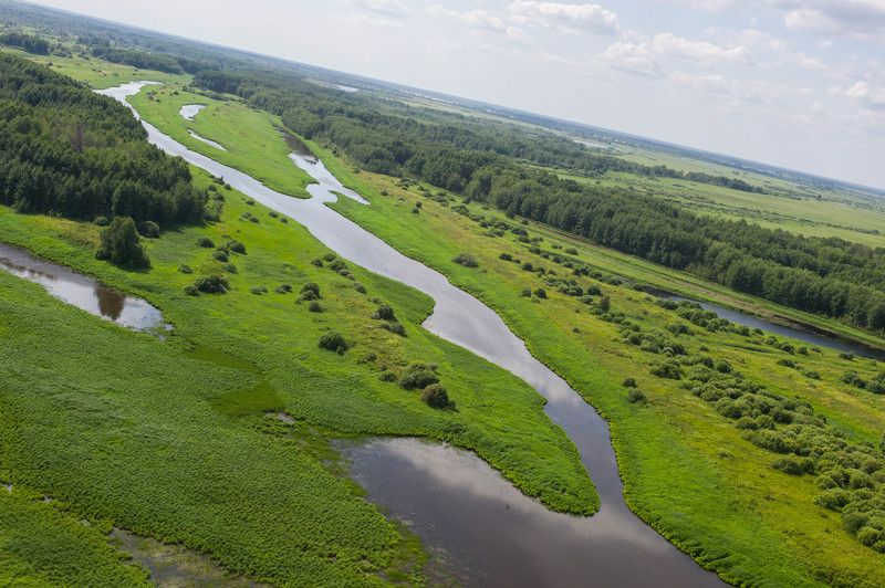 БВБ фото превью