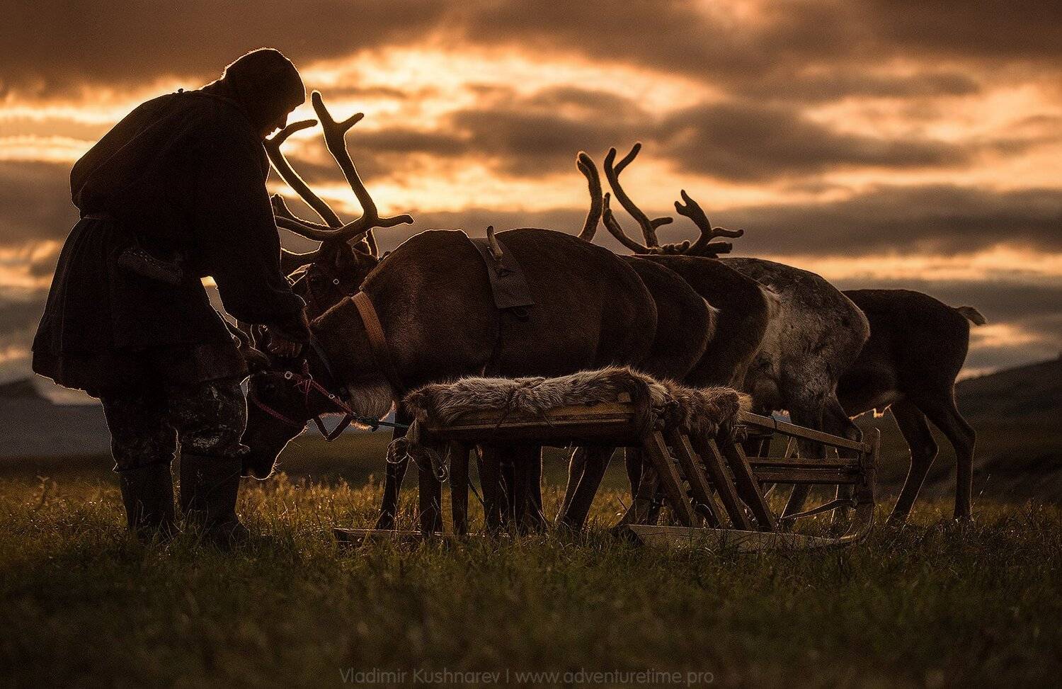 , Vladimir Kushnarev