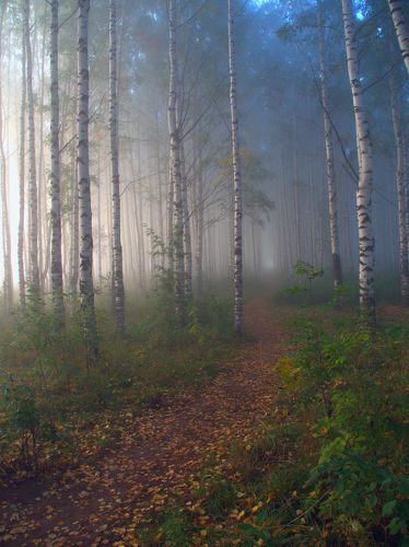 Чистое утро.