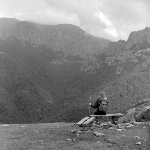 Traveller