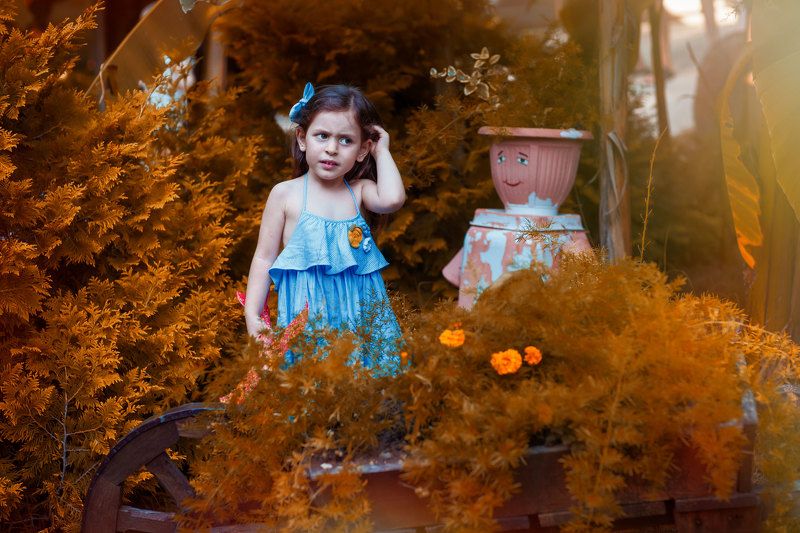 гордиенкоольга Снова осень?  фото превью