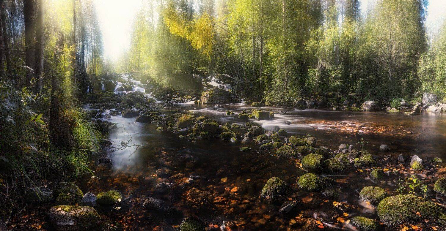 , Сергей Кочергин