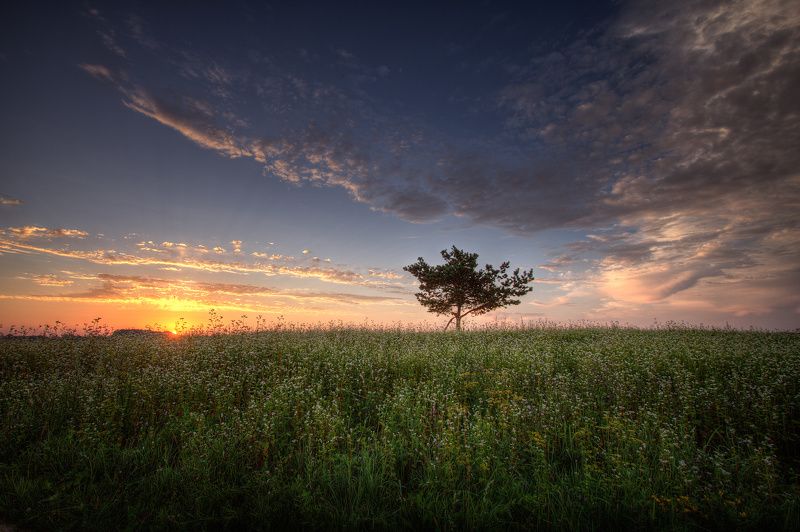 Начало хорошего дня... фото превью