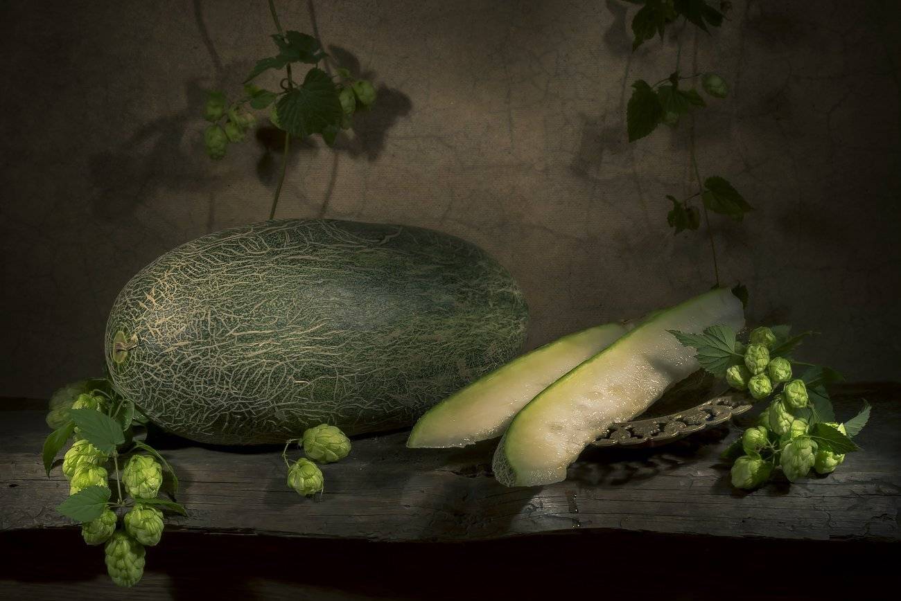 , Елена Брежицкая