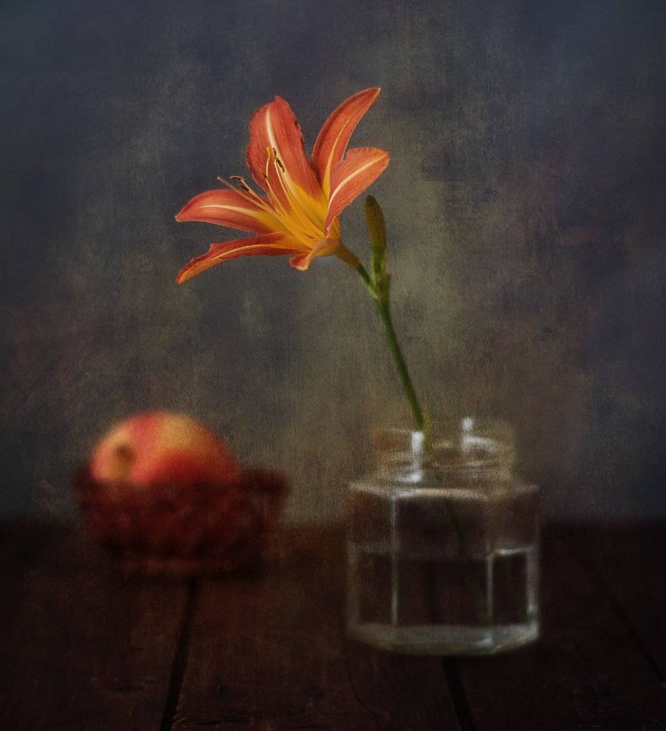 натюрморт,лилейник,красоднев, Наталия К