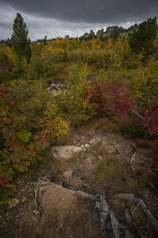 осень, пейзаж, природа Золотая фото превью