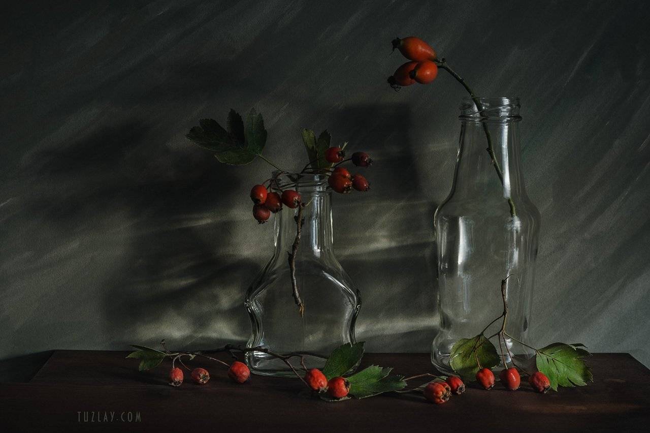 боярышник, шиповник, бутылки, Владимир Тузлай