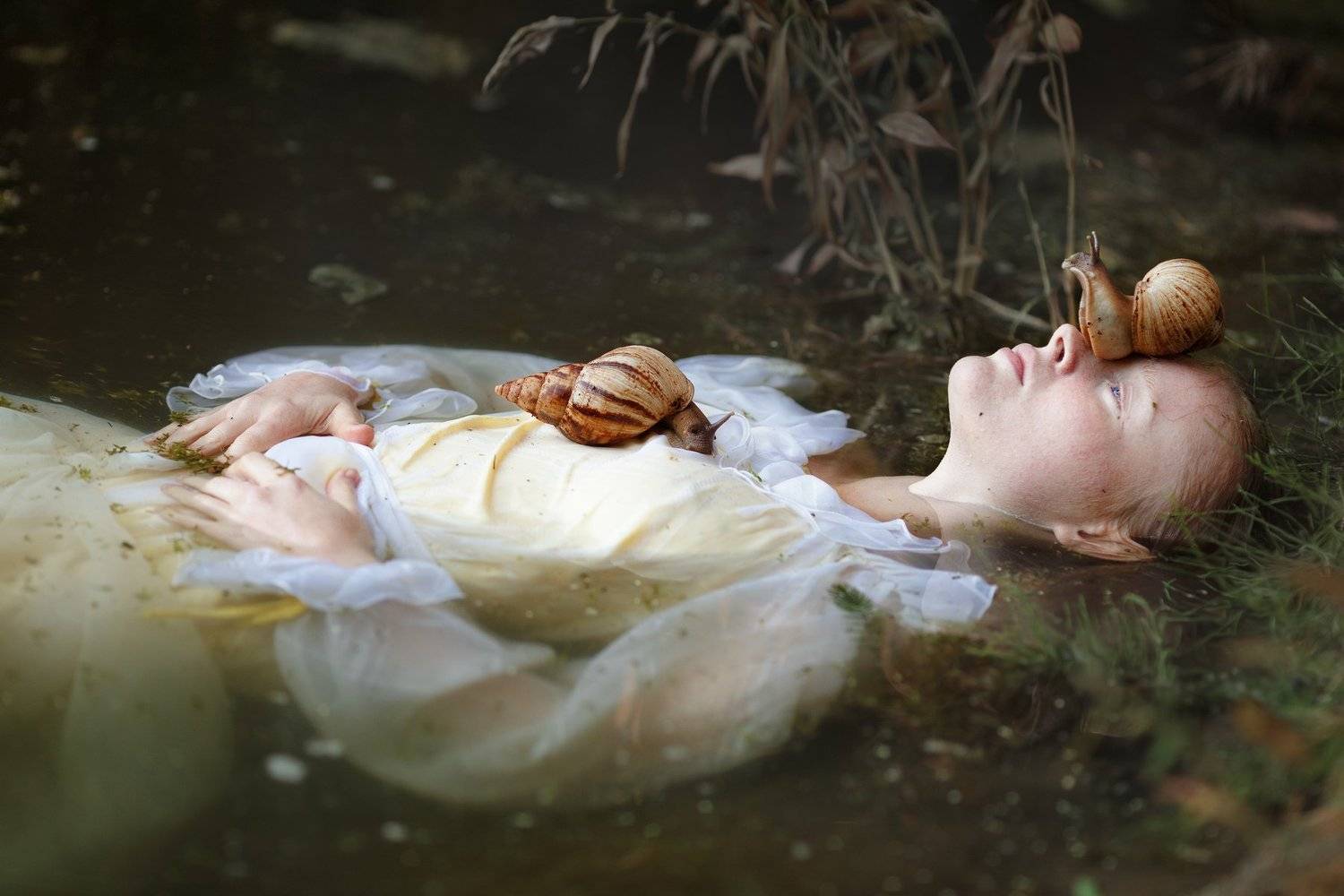 улитки, Светлана Никотина