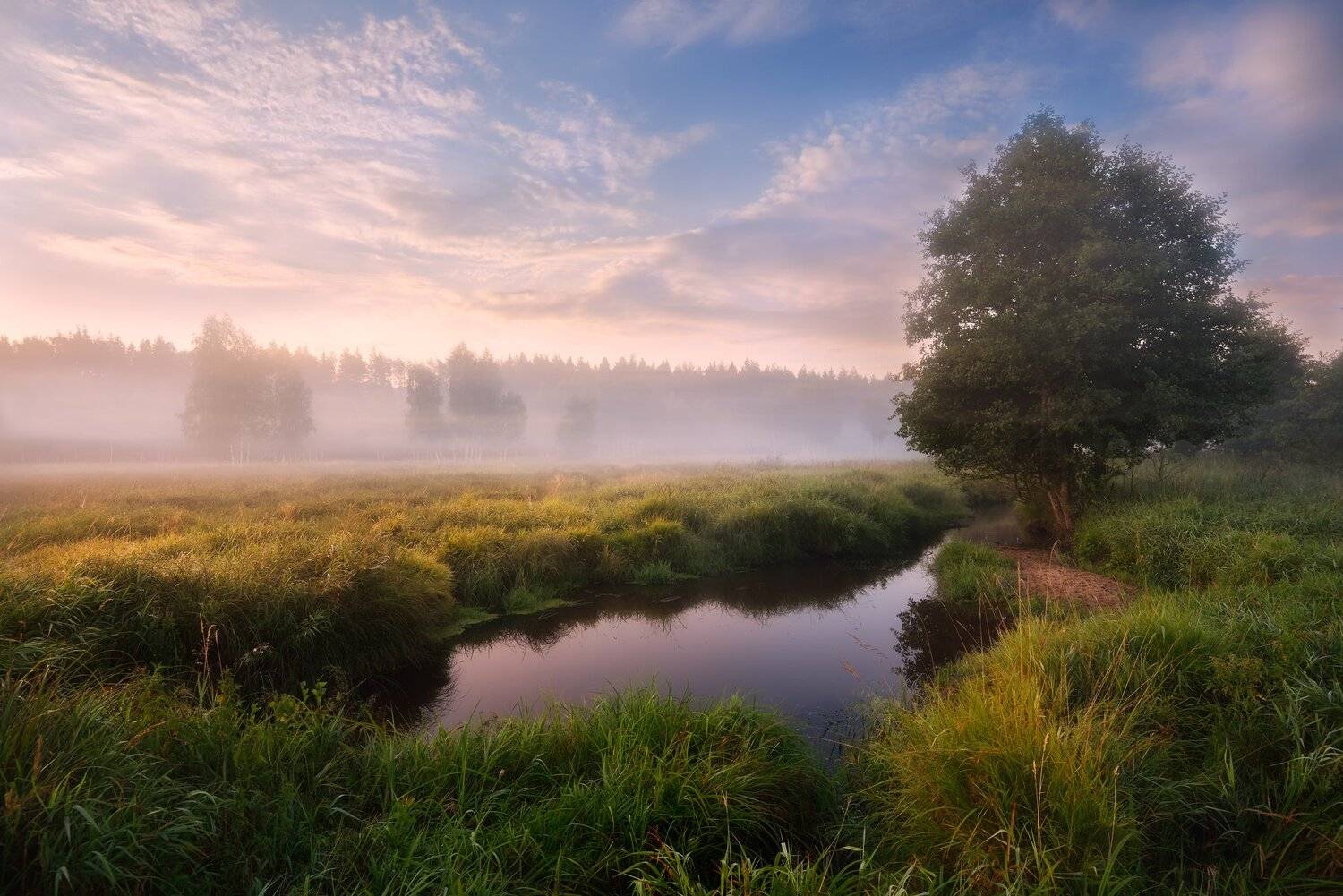 лето,утро,рассвет,туман,река, Виталий Полуэктов