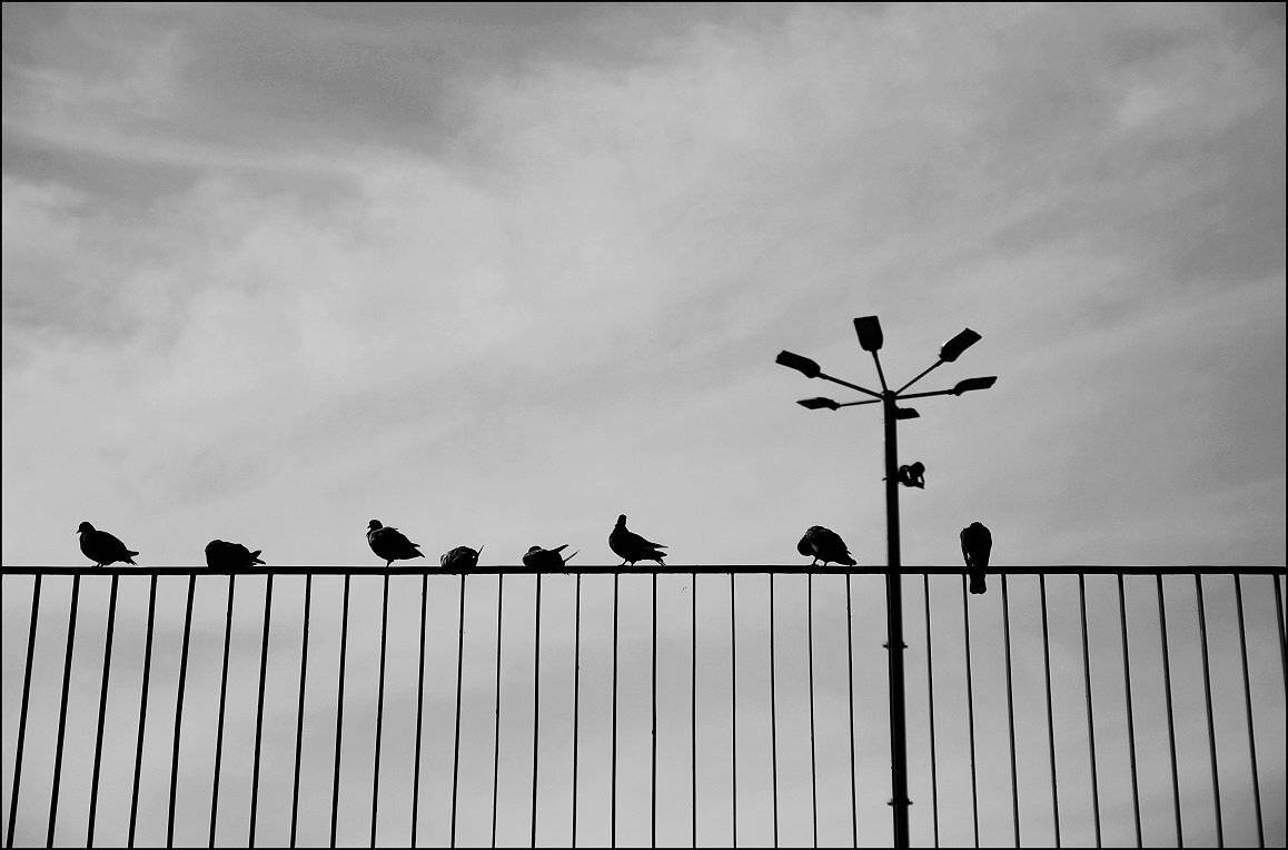 , Krzysztof Trojanowski