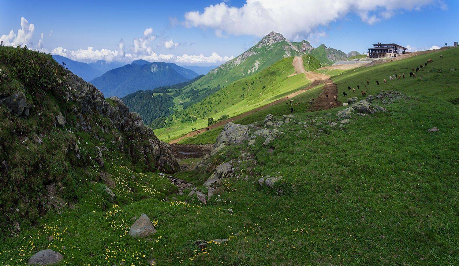 , Игорь Мелекесцев