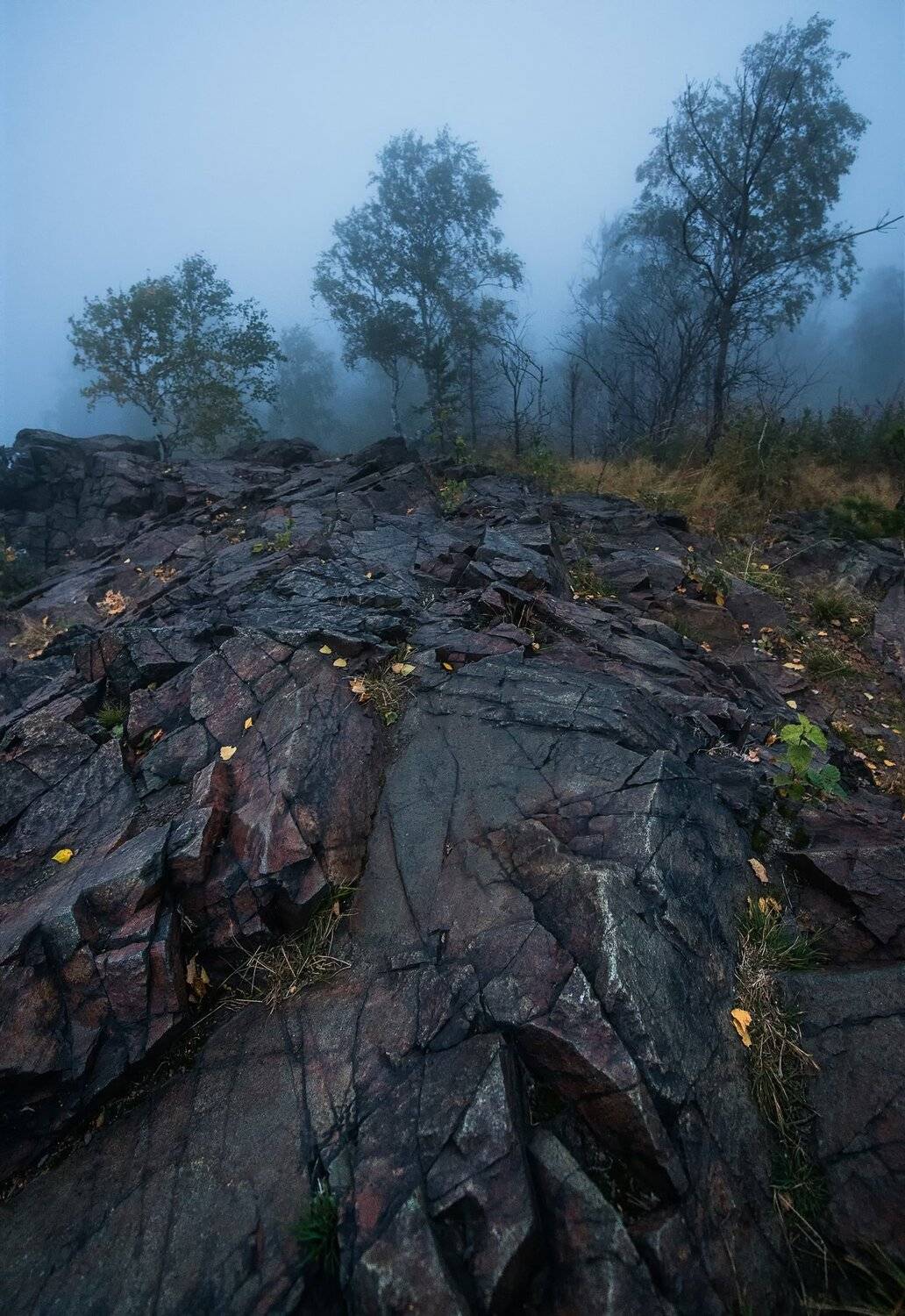 урал, екатеринбург, Василий Яковлев
