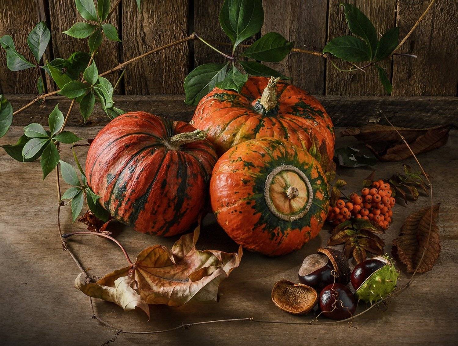 тыква, осень, Андрей Угренинов