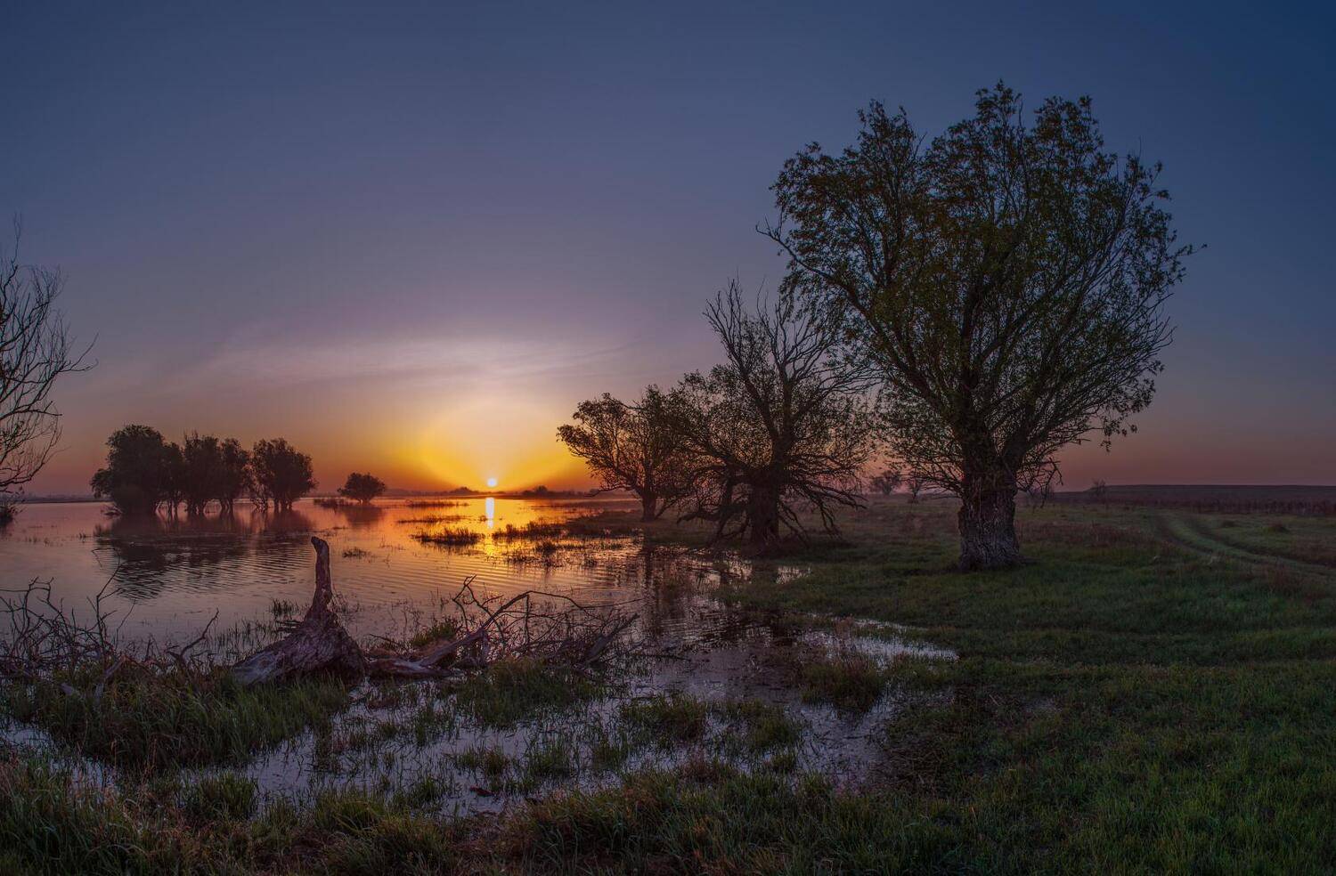 , Сергей цыбизов