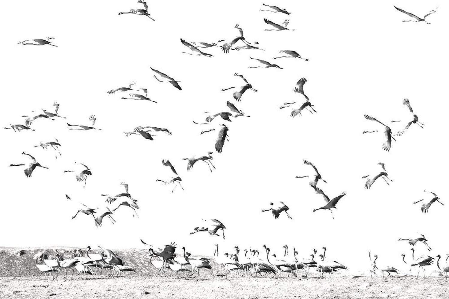 , Иваненко Светлана