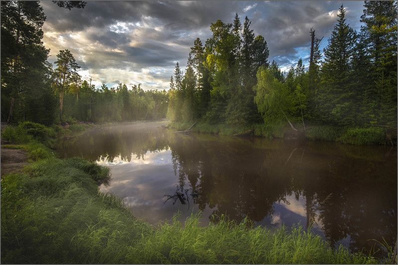 югра, лес, тайга, река, После ливня фото превью