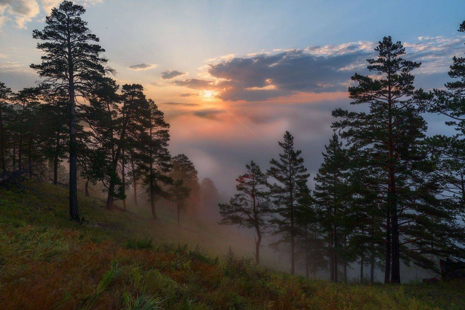 , Сергей Брагин
