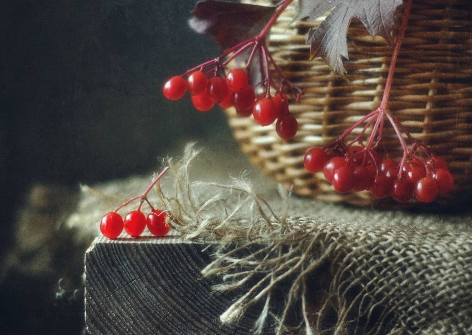 натюрморт,калина,осень, Наталия К