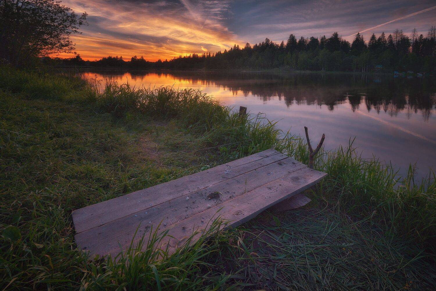 лес, природа, пейзаж, лето, река, вода, ручей, подмосковье, Алексей Никонов
