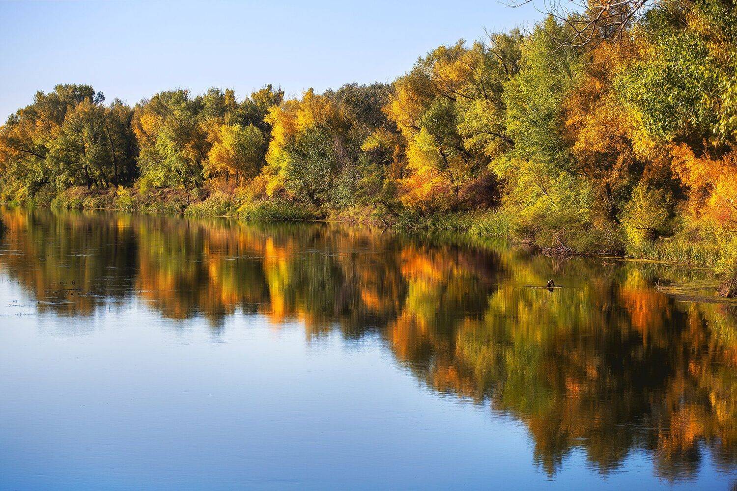 , Павел Сагайдак
