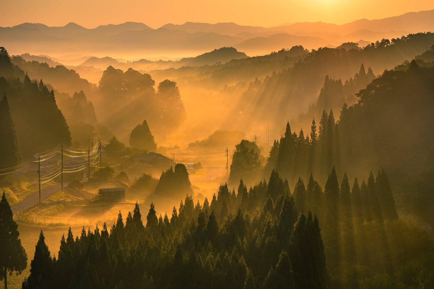 landscape nature foggy morning sunrise village tree Nara Japan , Hasan Jakaria