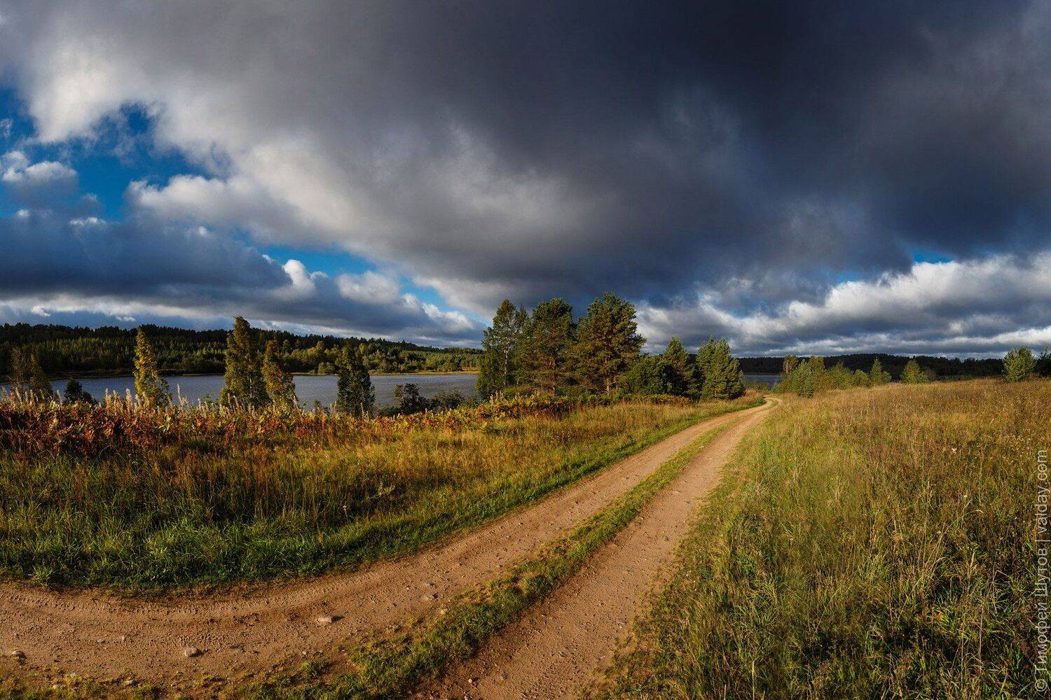 валдай, Тимофей Шутов