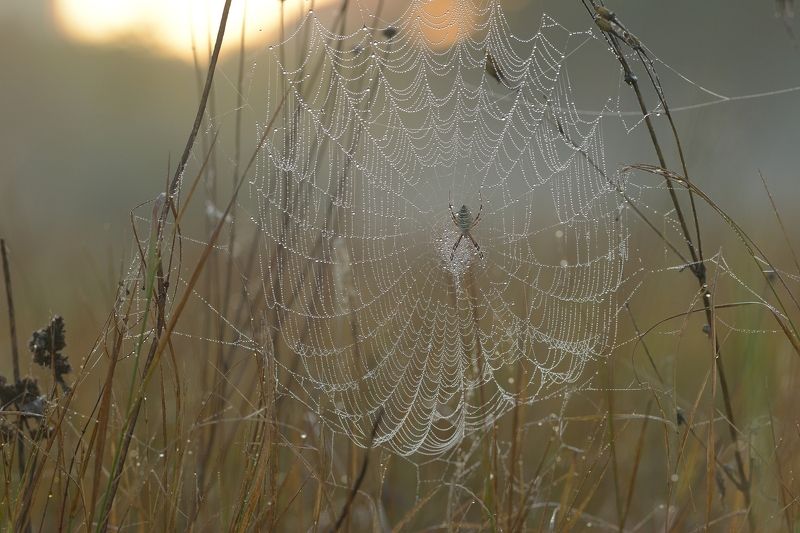 Рассвет фото превью