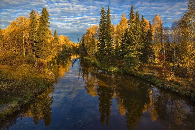 югра, река, тайга, сибирь, река эсс Осенняя Эсс фото превью