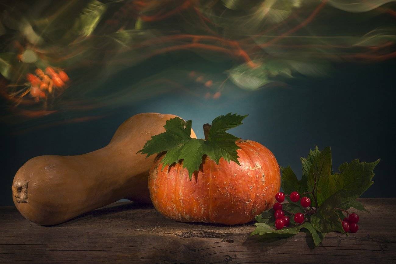 тыквы,осень,калина,световая кисть, натюрморт, Елена Брежицкая