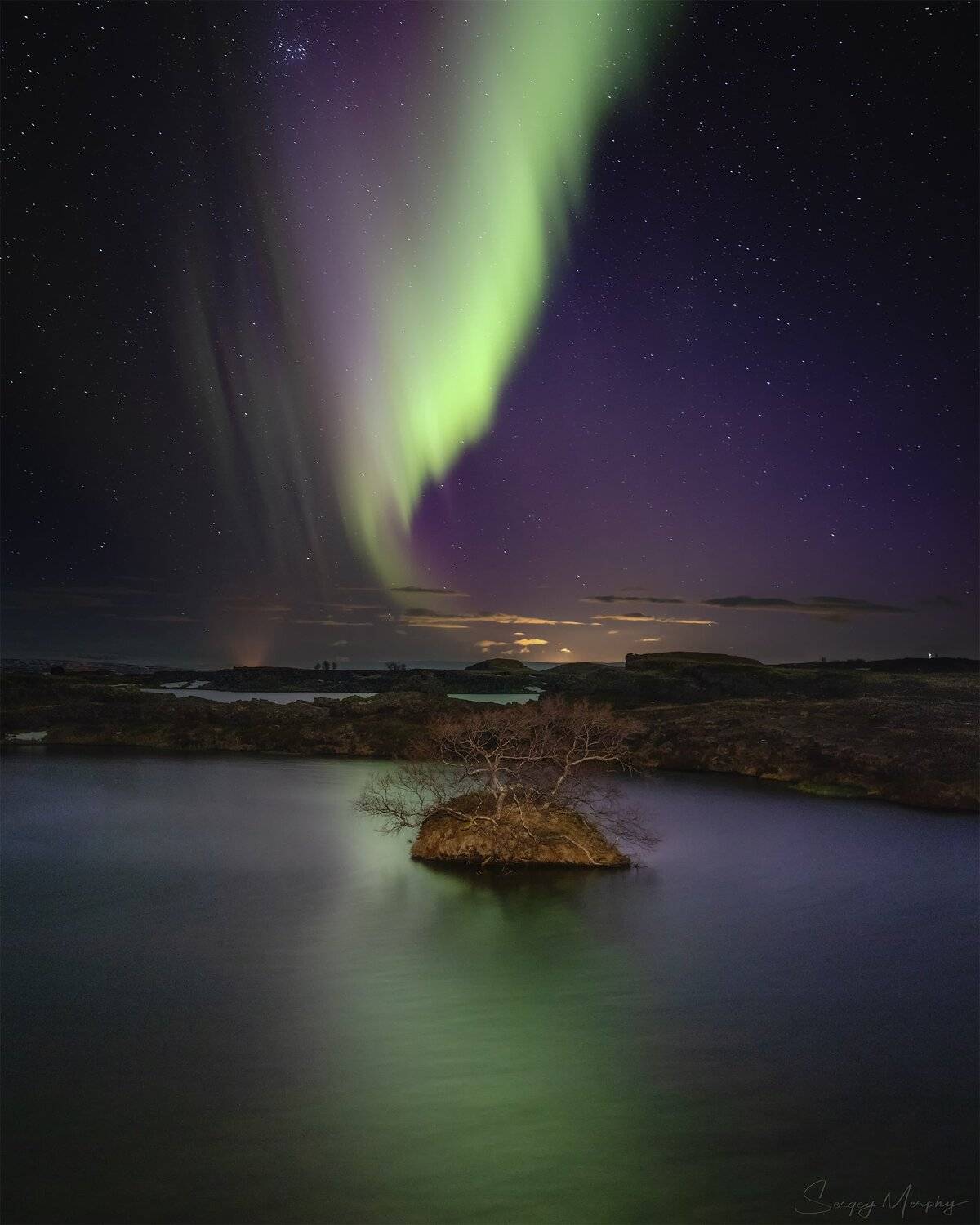 lonely tree. myvatn lake. iceland., Sergey Merphy