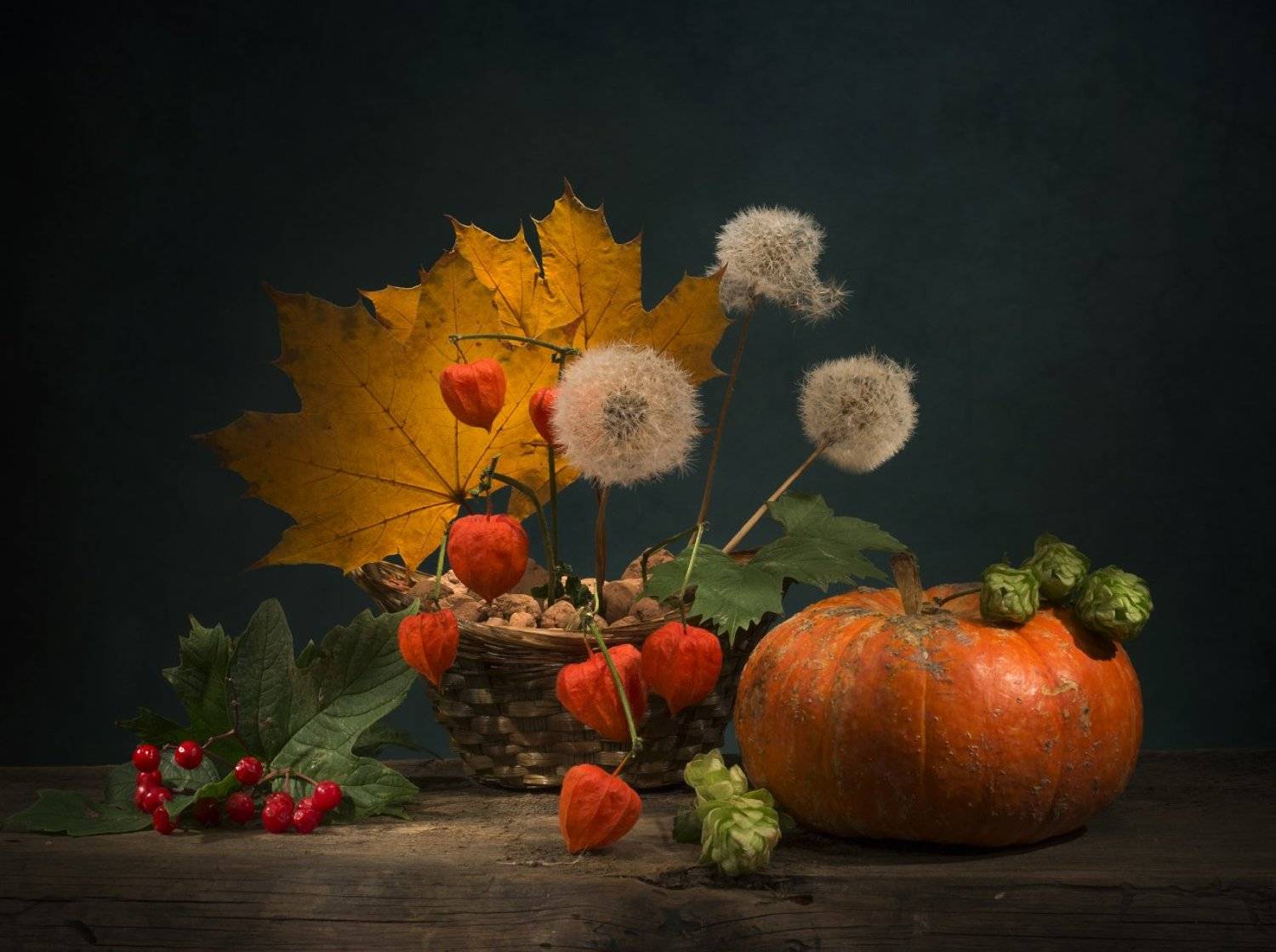 листья,одуванчики,калина,натюрморт,осень,физалисы,тыква, Елена Брежицкая
