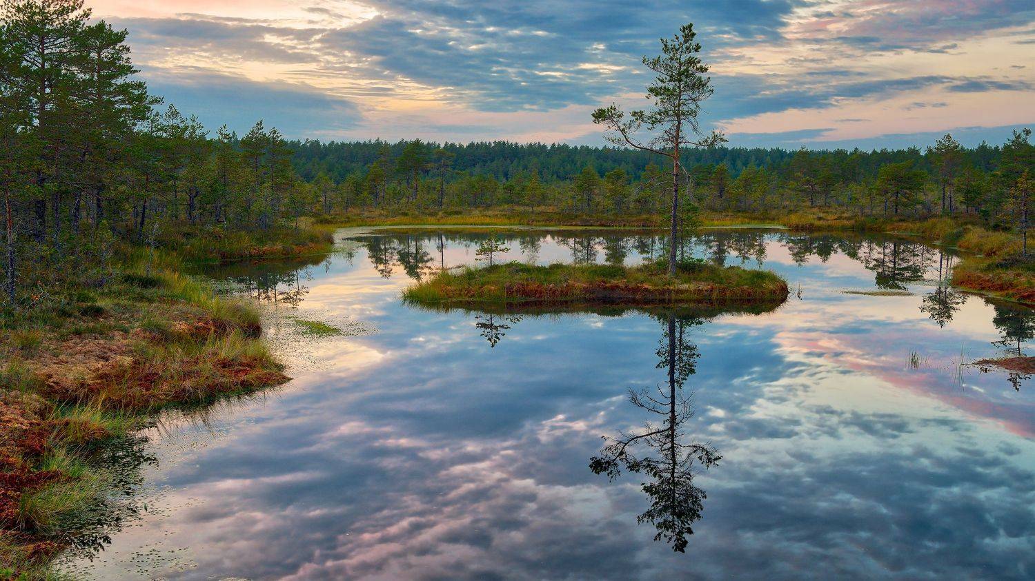 , Эдуард Горобец