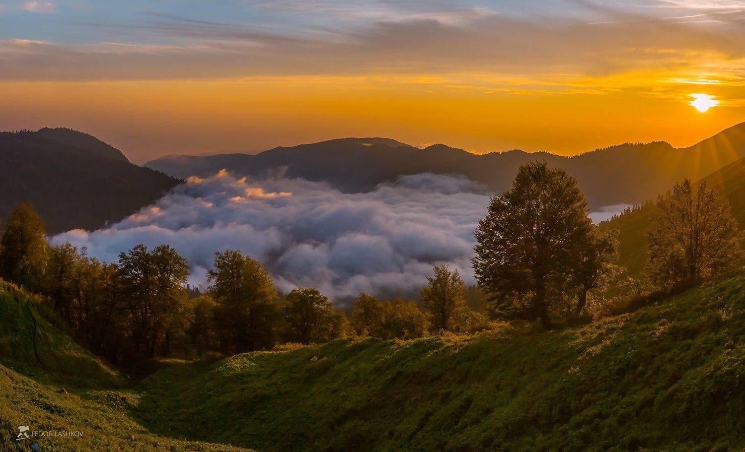 абхазия, фототур, путешествие, горы, солнце, лучи, рододендрон, долина реки, ущелье, деревья, лес,, Лашков Фёдор