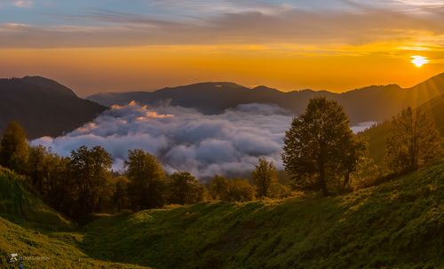 Туман в горной долине