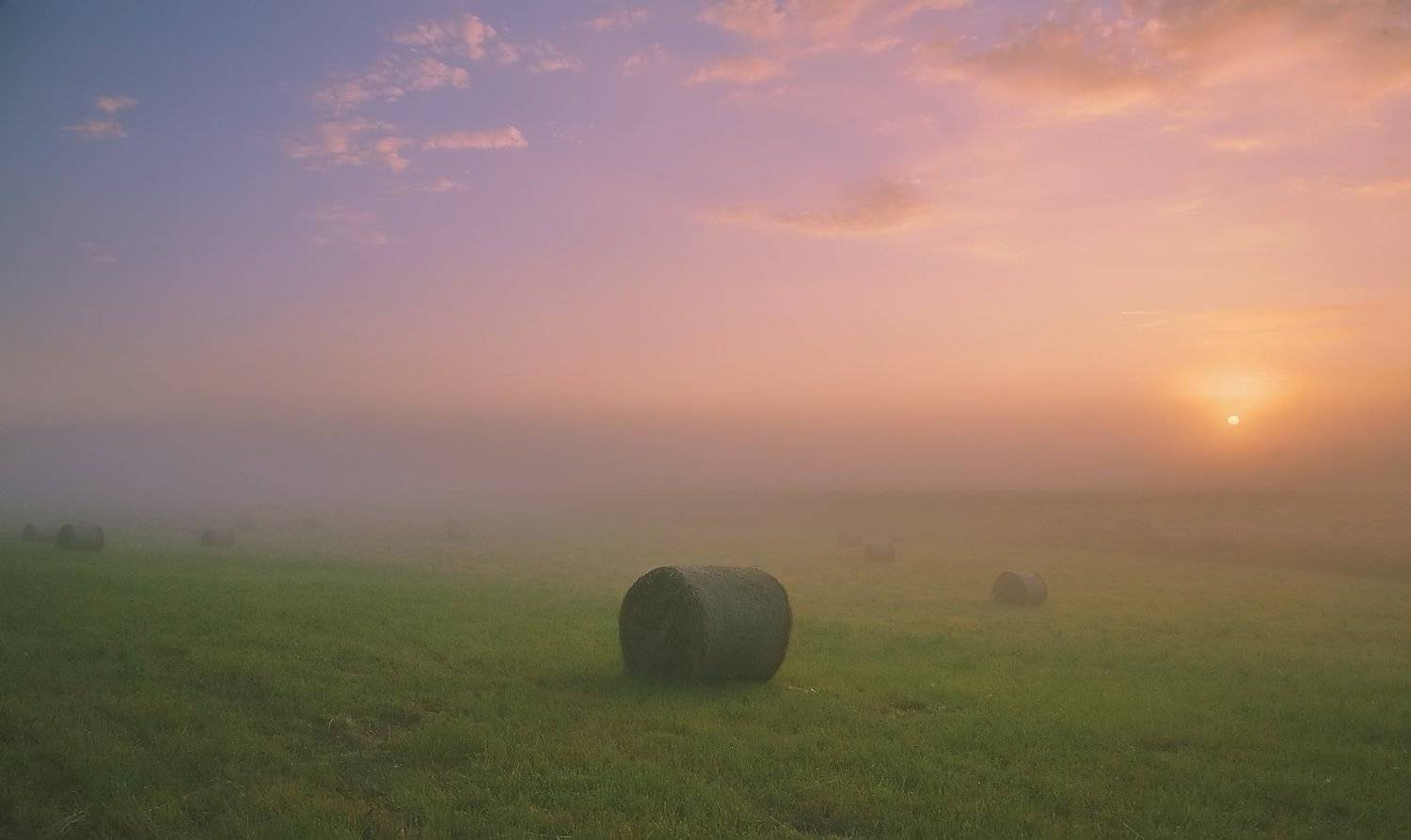 , Вениамин Дардык