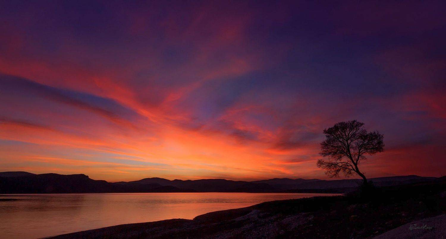 sunset ankara turkey landscape canon tree alone, Ali Zeki Kaya