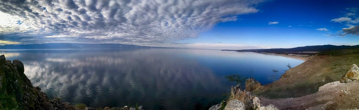 , Николай Шелепов