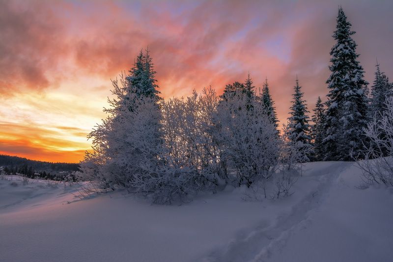 ******* фото превью