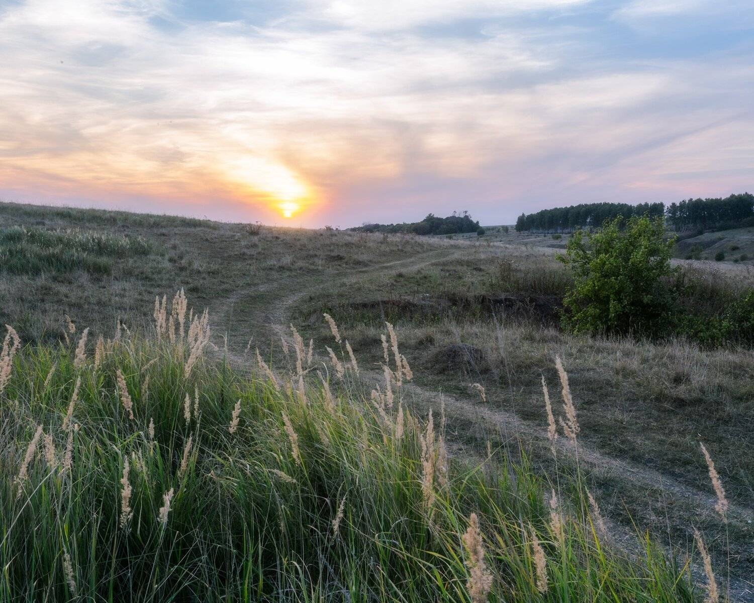 тула, природа, пейзаж, landscape, sunset, Мартыненко Дмитрий