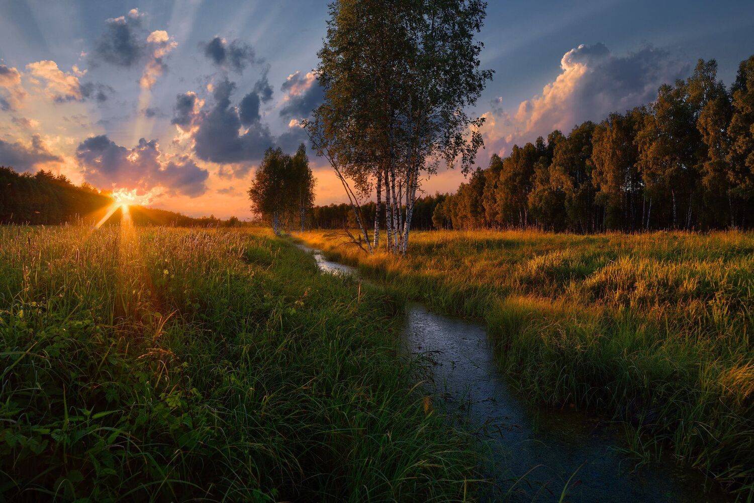 лето,вечер,закат,река,лес,солнце,небо,облака, Виталий Полуэктов
